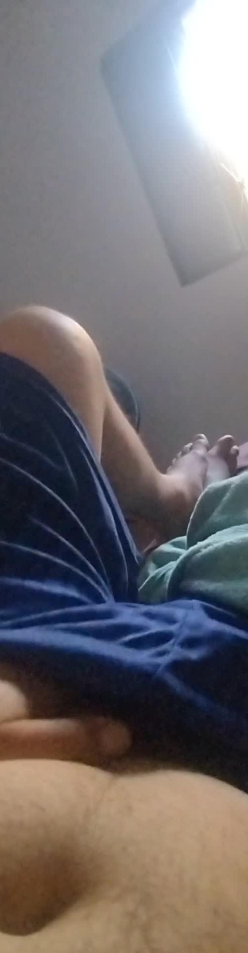 Mídia de pinguim77