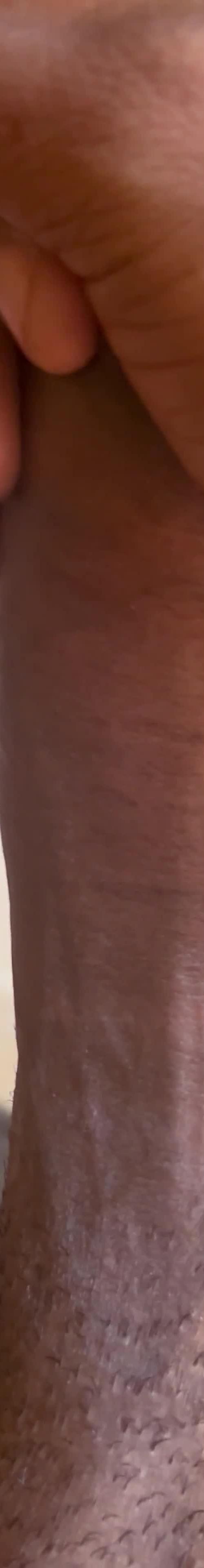 Mídia de pira_pauzudu1
