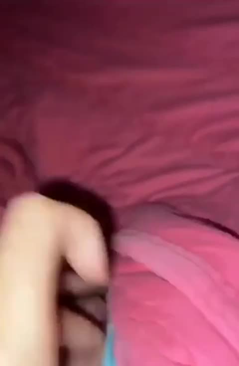 Mídia de pplegar22