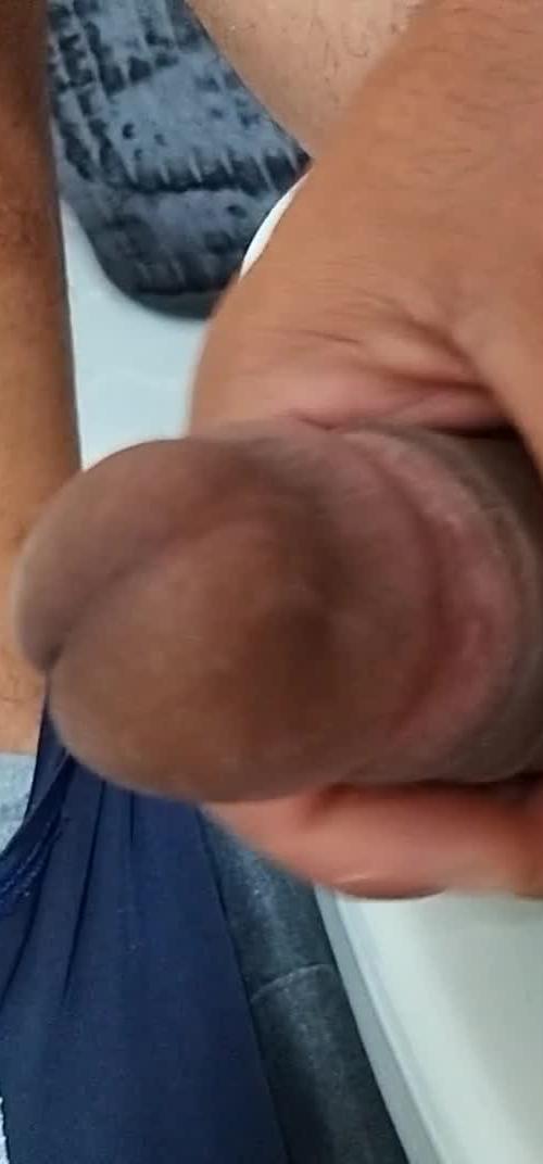 Mídia de prazer9376