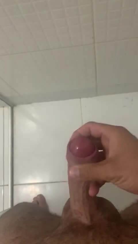 Mídia de prefiromaduras