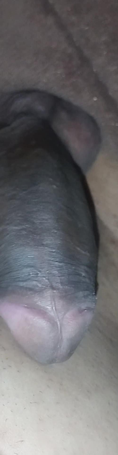 Mídia de pretosedutor0