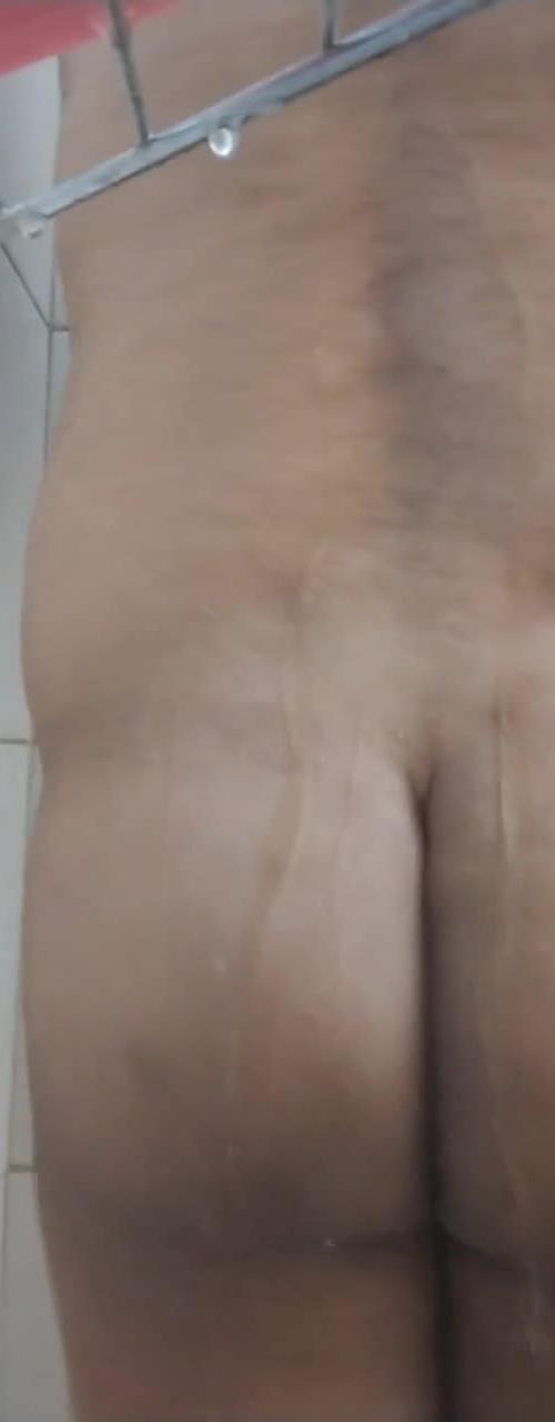 Mídia de puppy_jasp