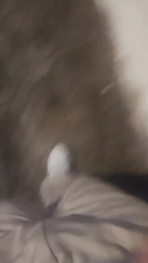 Mídia de rafael_di4s