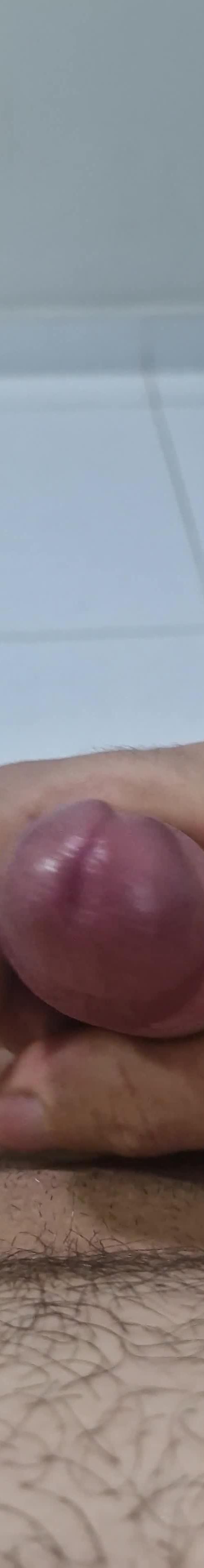 Mídia de rola69rola69