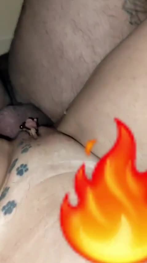 Mídia de rolaagrossapp