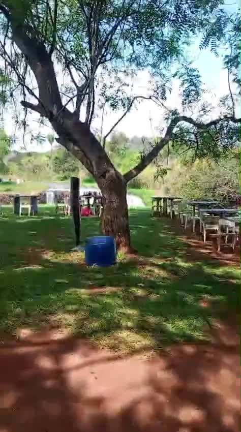 Mídia de ronaldo046
