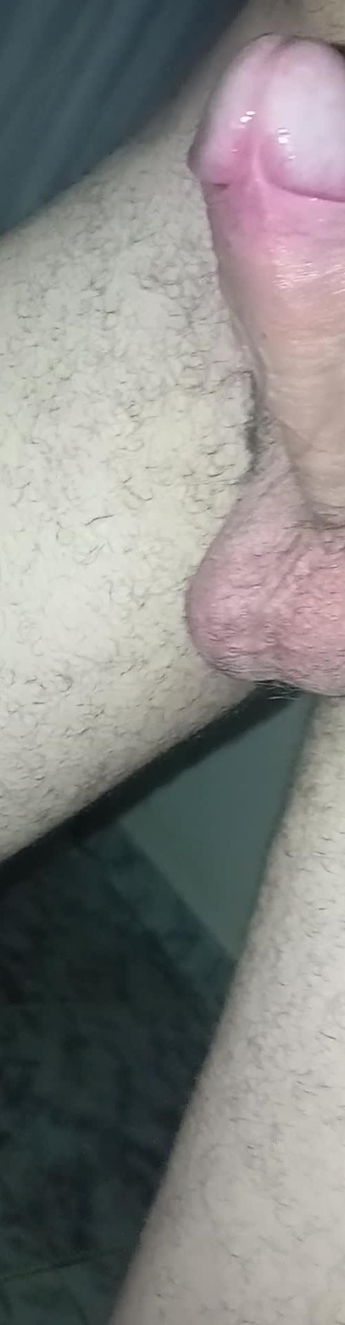 Mídia de rosagoiano62