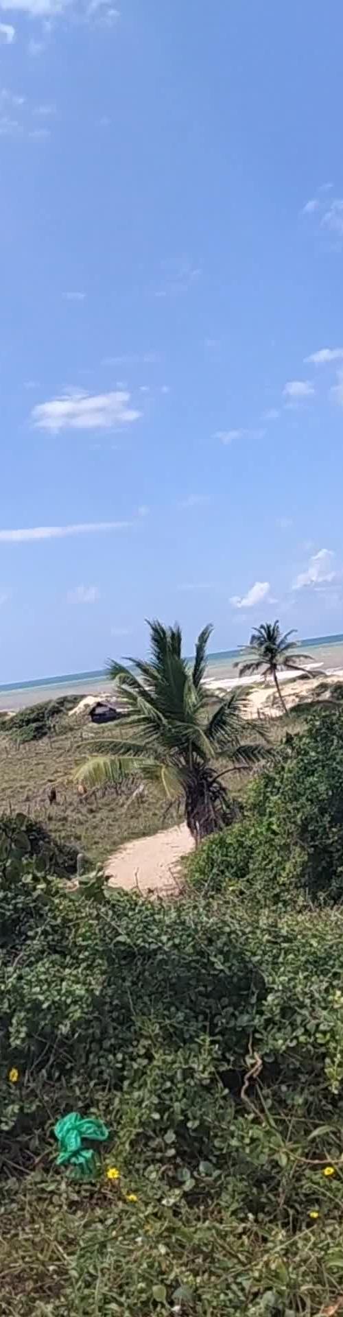 Mídia de safado5649_9920
