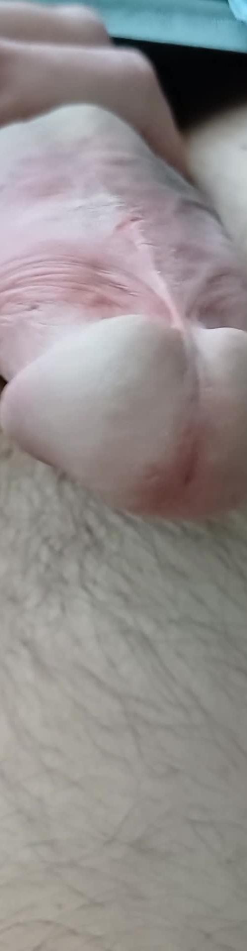 Mídia de safado_jeff
