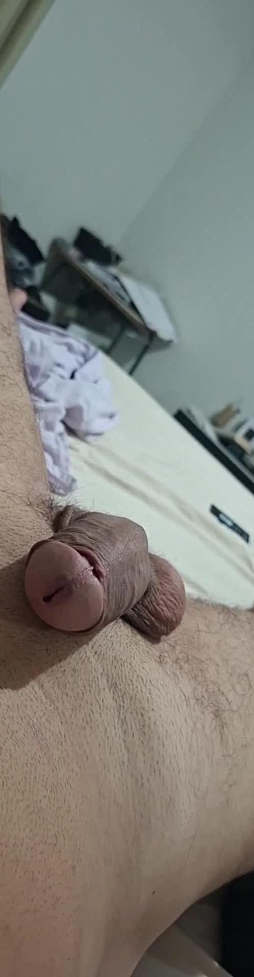 Mídia de safadofortal830