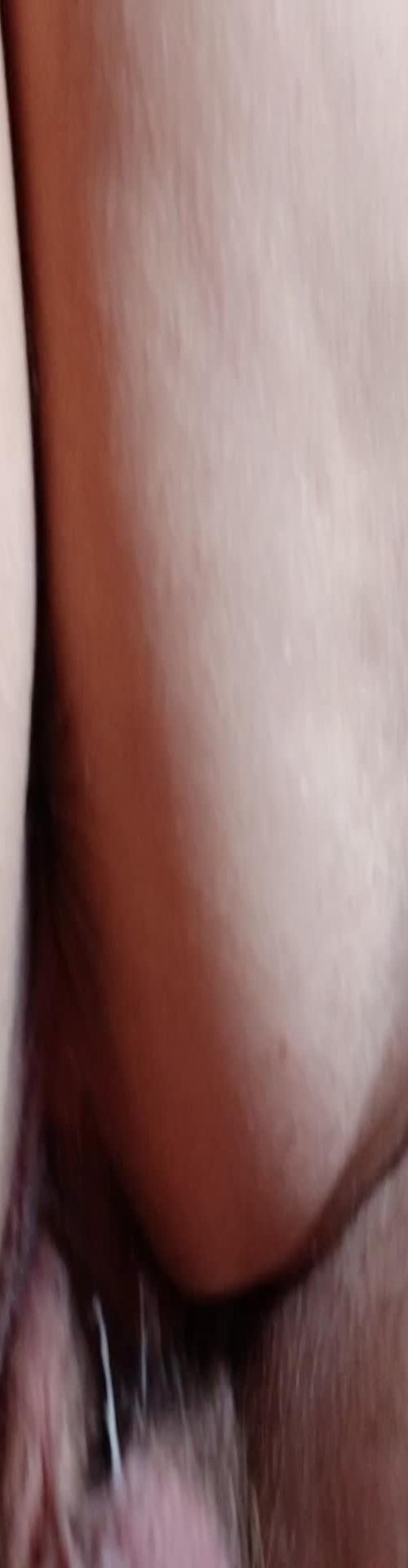 Mídia de santaca