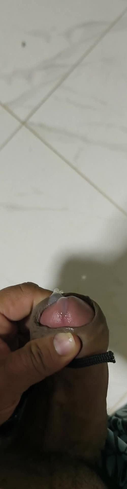 Mídia de seuchico1098