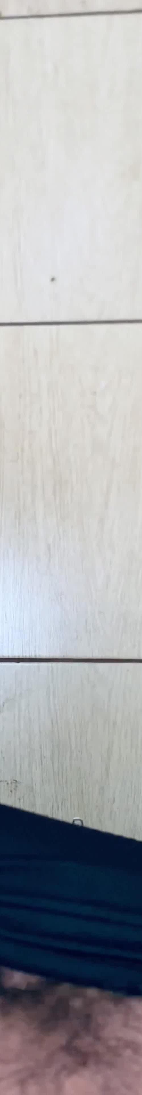 Mídia de shitajee10