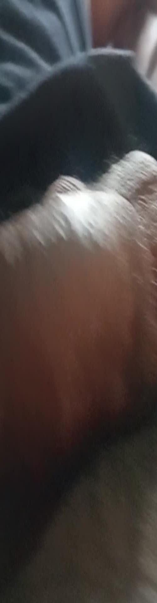 Mídia de sigilosopira69