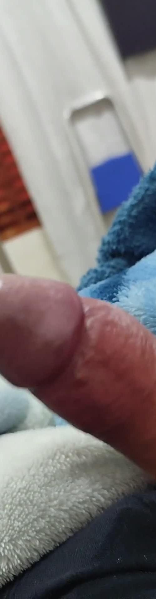 Mídia de somenteprazer330