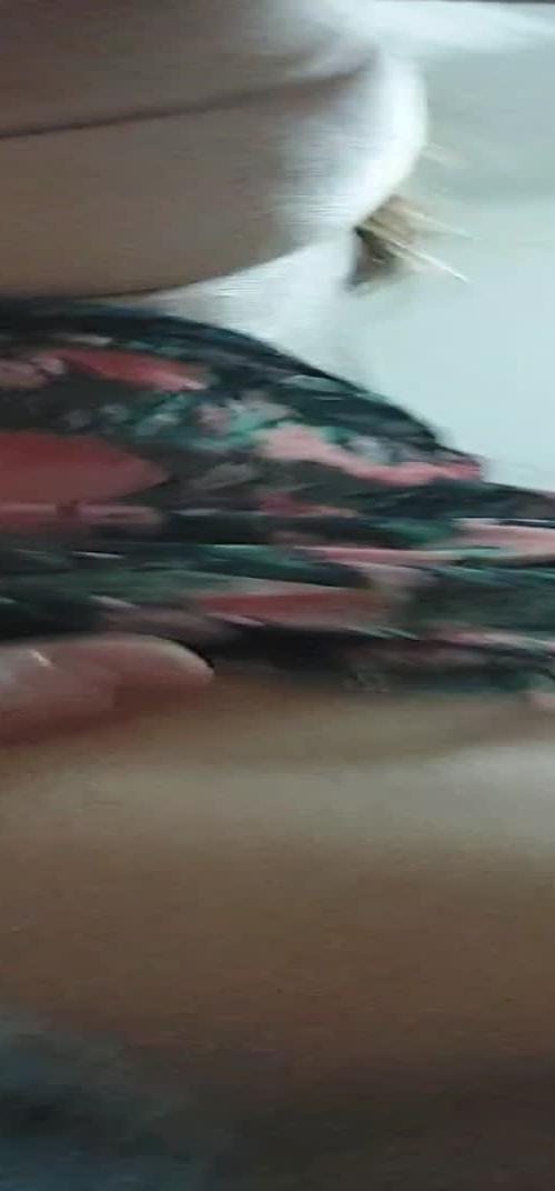 Mídia de tigresaluh2