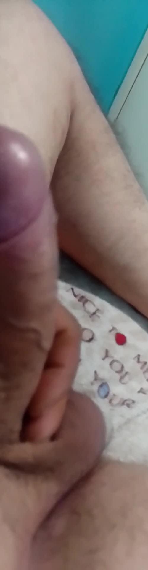Mídia de urso5489
