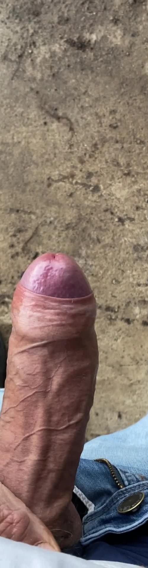 Mídia de veterano81