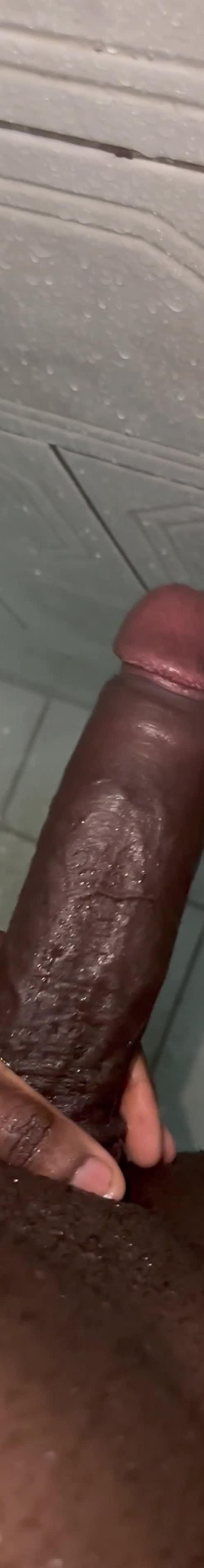 Mídia de vini22cm