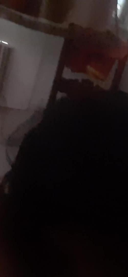 Mídia de willocara